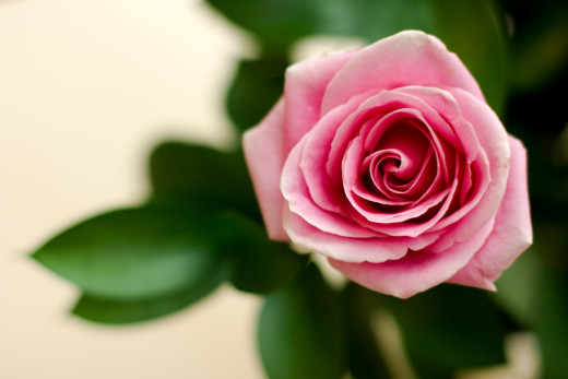 653844 (a): :2900x1930